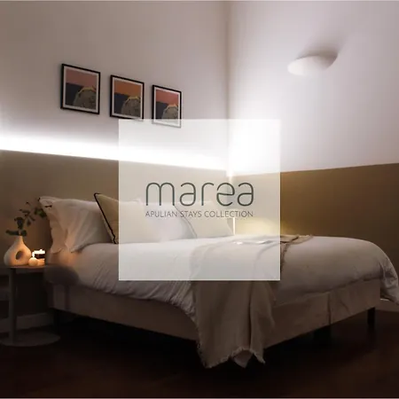 Executive - Marea Collection